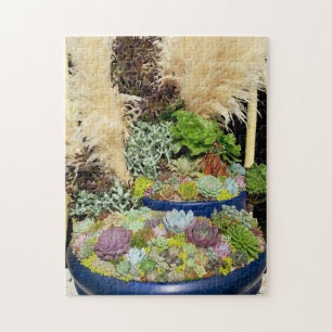 Farbige Sukkulturen mit Silbergras Puzzle
