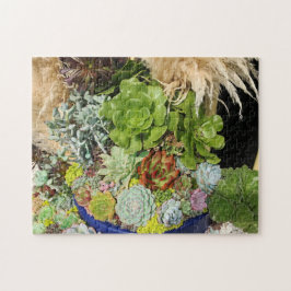 Farbige Sukkulturen mit Silbergras Puzzle