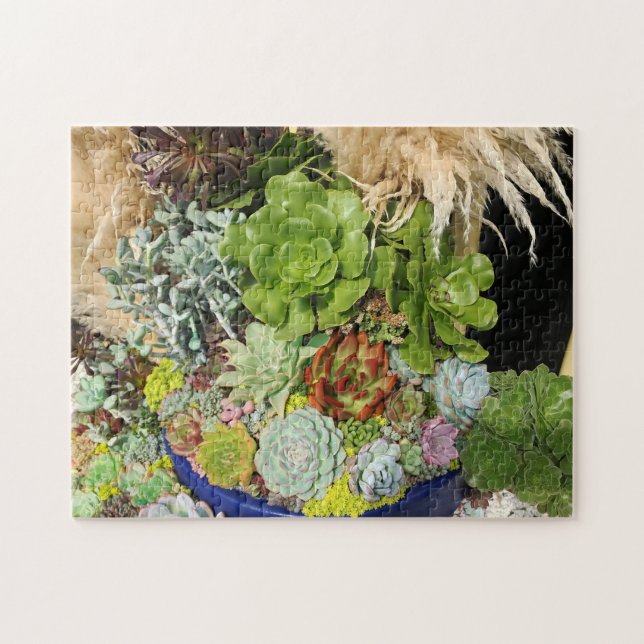Farbige Sukkulturen mit Silbergras Puzzle (Horizontal)
