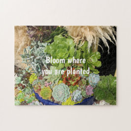 Farbige Sukkulturen mit Silbergras Puzzle