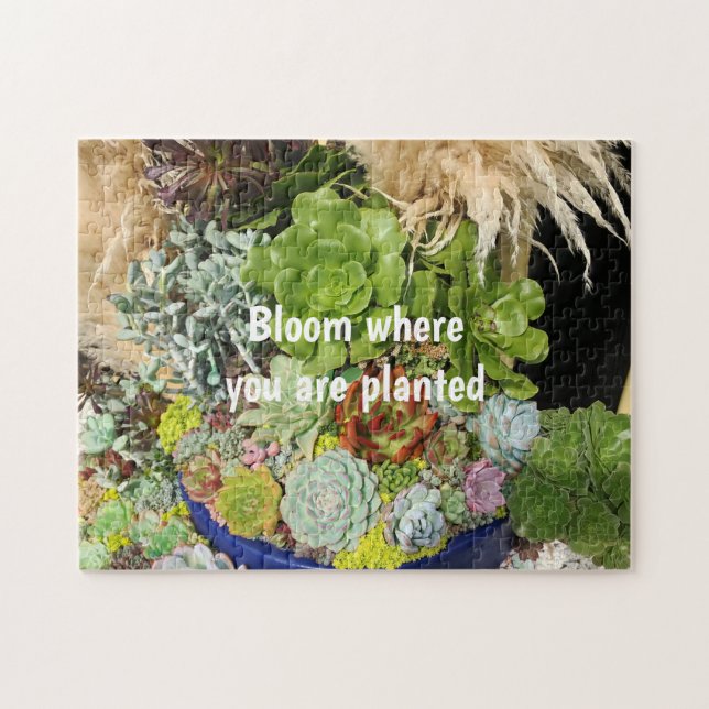 Farbige Sukkulturen mit Silbergras Puzzle (Horizontal)