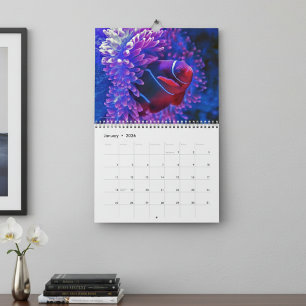 Farbige tropische Fische 2027 Unterwasserparadies Kalender