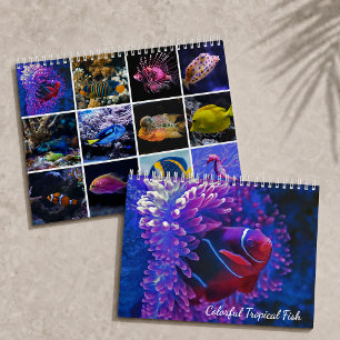 Farbige tropische Fische   Unterwasserparadies  Kalender