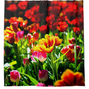 Farbige Tulip-Blume Duschvorhang