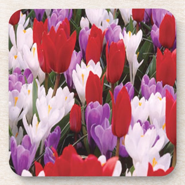 Farbige Tulip Blume Untersetzer (Vorderseite)