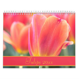 Farbige Tulips-Fotografie Kalender
