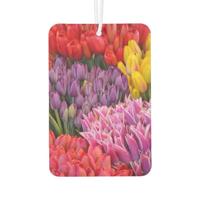 Farbige Tulpen Autolufterfrischer (Rückseite)