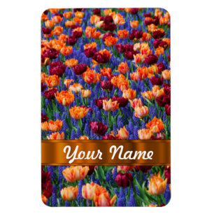 Farbige Tulpen Magnet
