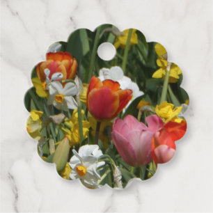 Farbige Tulpen & Narzissen Favor Tags Geschenkanhänger