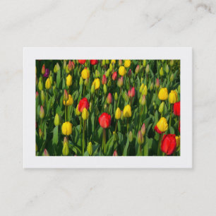 Farbige Tulpen Visitenkarte