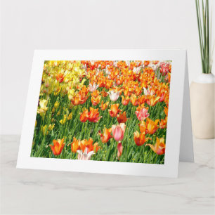 farbige und lebendige Tulpen  Karte