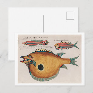 Farbige und surrealistische Illustrationen von Fis Postkarte
