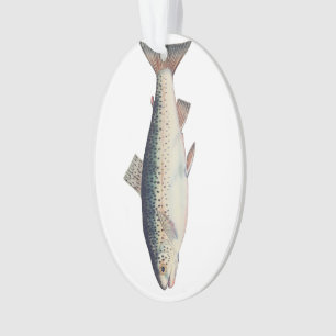 Farbige Vintage-Lachs-Illustration Ornament