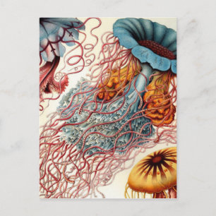 Farbige Vintage-Qualle Postkarte