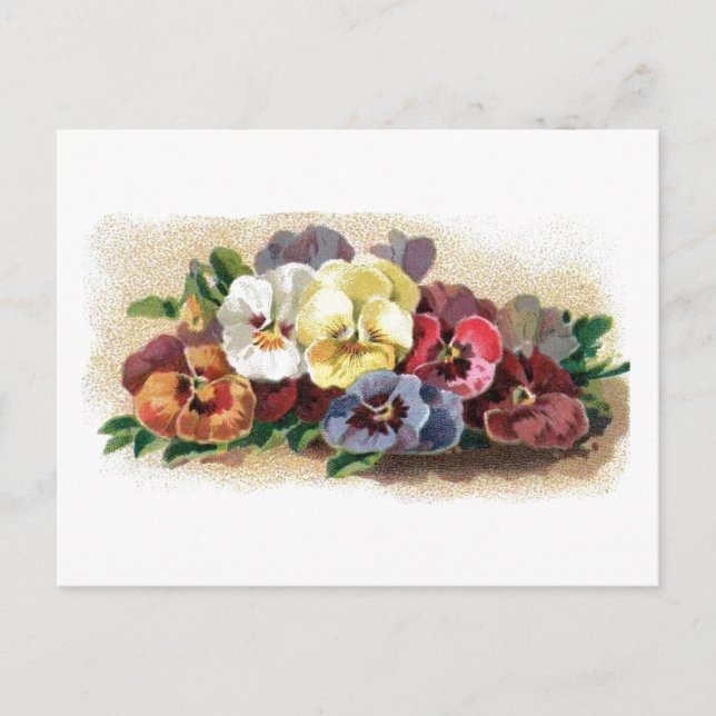 Farbige Vintage Stiefmütterchen Blumenbester Postk Postkarte (Vorderseite)