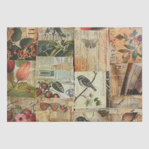 Farbige Vögel Antike Zeitung Natur Collage Seidenpapier