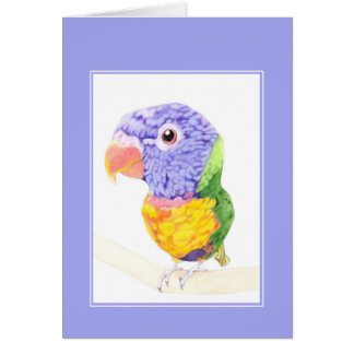 Farbige Vogelkarte