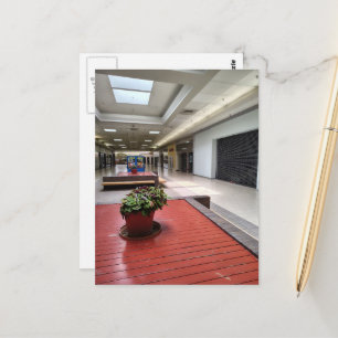 Farbige Zimmerpflanzen Übergangsraum Verlassene Ma Postkarte