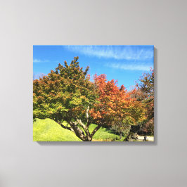Farbiger Ahornbaum im Herbst Leinwanddruck