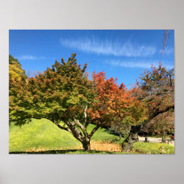 Farbiger Ahornbaum im Herbst Poster