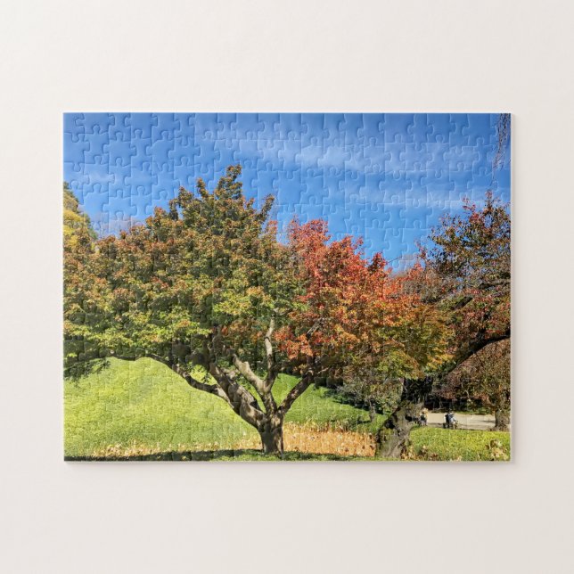 Farbiger Ahornbaum im Herbst Puzzle (Horizontal)