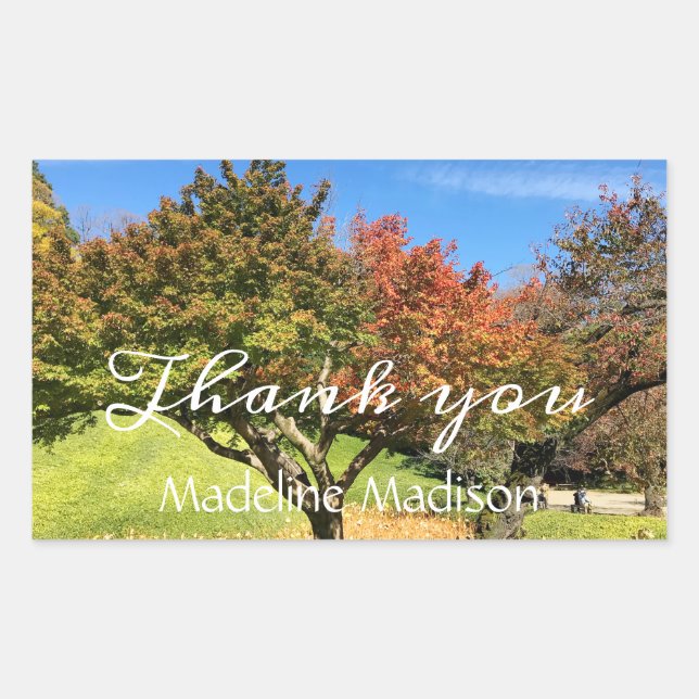 Farbiger Ahornbaum im Herbst Rechteckiger Aufkleber (Vorderseite)