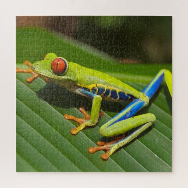 Farbiger Baumfrosch Puzzle (Vertikal)
