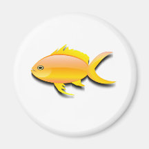 Farbiger Fisch-Design-Magnet