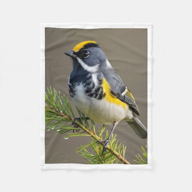 Farbiger Goldkronenvogel auf Kiefernzweig-Fleece B Fleecedecke (Vorderseite)