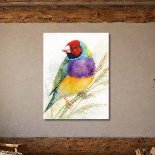 Farbiger Gouldamadine-Vogel Poster