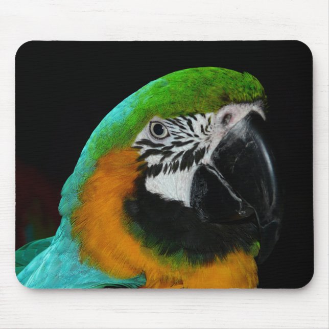 Farbiger Grüner Papagei Mousepad (Vorne)