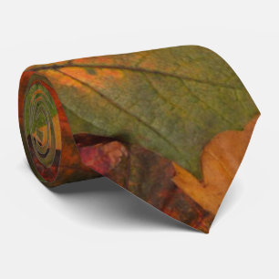 Farbiger Herbst Krawatte