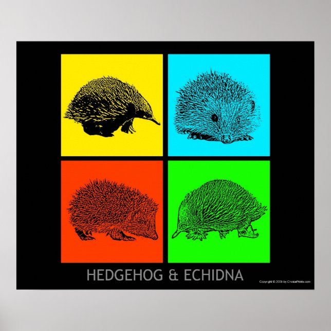 Farbiger Igel und Echidna Poster (Vorne)