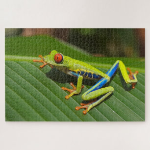 Farbiger kleiner Frosch Puzzle