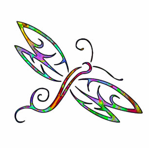 Farbiger Libellenmagnet Fotoskulptur Magnet