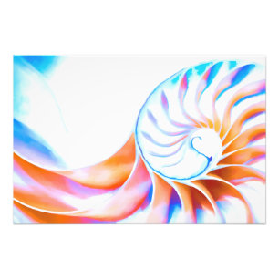 Farbiger Nautilus Fotodruck