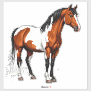 Farbiger Paint Horse steht auf grasbewachsenem Fel Aufkleber