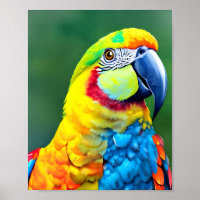 Farbiger Papagei auf grünem Hintergrund