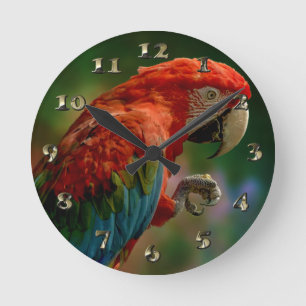 Farbiger Papagei Runde Wanduhr