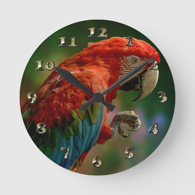 Farbiger Papagei Runde Wanduhr (Vorderseite)