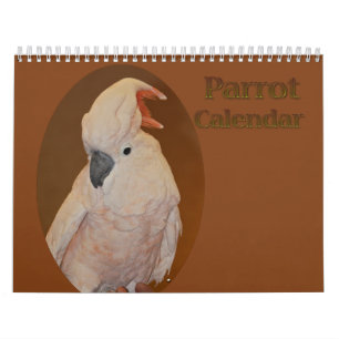 Farbiger Papageienkalender Kalender