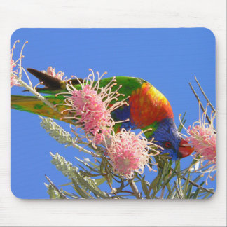 Farbiger Regenbogen-Lori-Vogel, der Nektar isst Mousepad