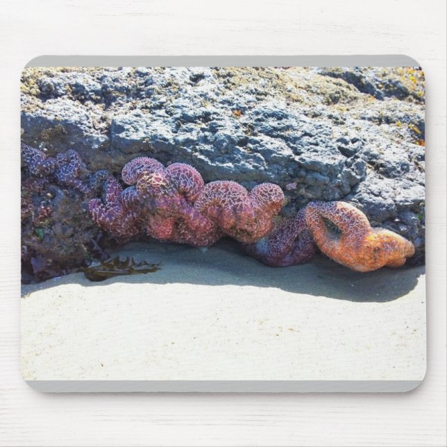 Farbiger Starfish am Bob Creek, OR Mousepad (Vorne)