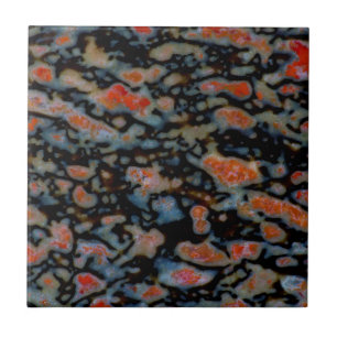 Farbiger versteinerter Dinosaurierknochen Fliese