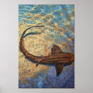 Farbiger Zebra Shark Poster