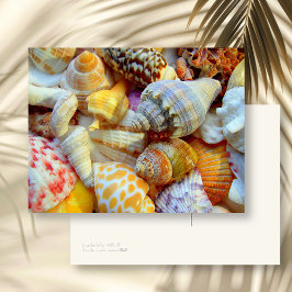 Farbiges Bild der Blanc-Postkarte der Muscheln Postkarte