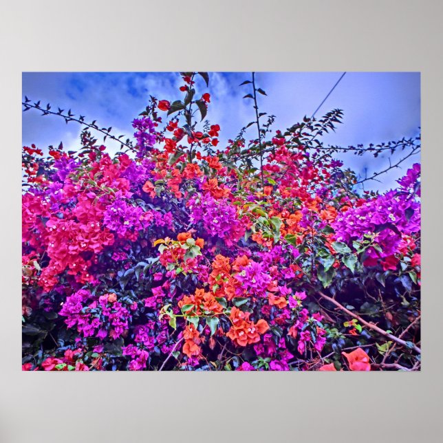 Farbiges Blume-Poster Poster (Vorne)