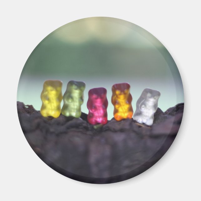Farbiges Diversity Gummibären Fotografie Magnet (Vorne)