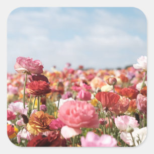 Farbiges Frühlingsblumen-Sticker Quadratischer Aufkleber