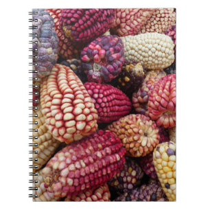 Farbiges MaisNotebook Notizblock